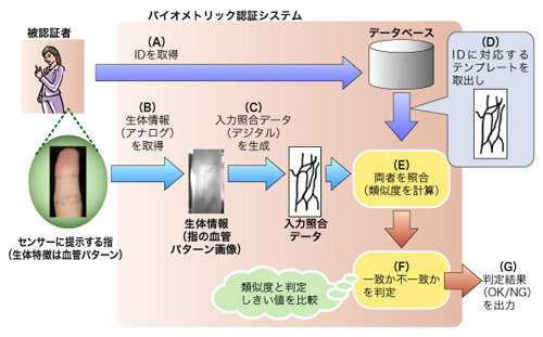 図1●バイオメトリック認証システムにおける認証プロセスの例