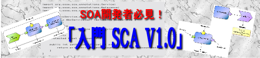 入門SCA V1.0
