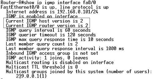 show ip igmp interface