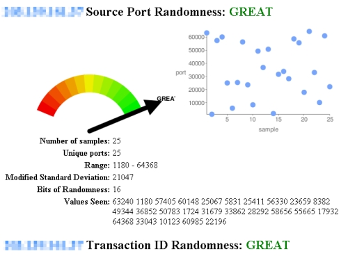 図1　Web-based DNS Randomness Test