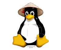 ベトナムにおけるLinuxのマスコットとなっている，民族衣装の笠をかぶったペンギン