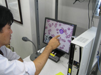 写真1●NTTレゾナントのテレビ会議システム「WarpVision」を使い遠隔で病理診断