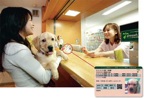 動物病院の窓口で人の健康保険証に相当するアニコム損害保険の「診療記録簿」カードを提示すると、診療費の50％をペット保険でまかなえるうえに、余計な手続き無しにその場で窓口精算が完了する。写真は、アニコム損保のペット保険に対応している東京都板橋区の動物病院「アニホス」での様子
写真撮影：山西 英二