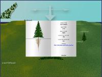 樹をクリックするとバナーを貼ったサイトの情報が表示される
