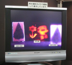 再生像をカメラで撮影したところ。中央の二つの赤い物体が電子ホログラフィの再生像。この二つの像は前後に5cm離れている。