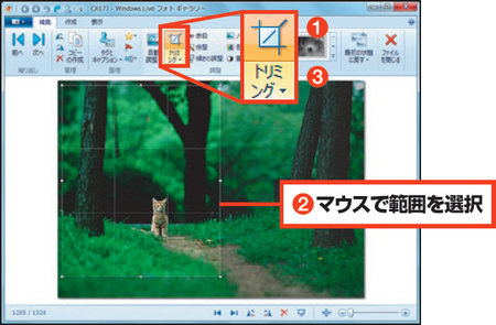 図3　写真を表示し「トリミング」をクリック（1）。ポインターが十字に変わるので、必要な範囲をマウスで選択し（2）、再度「トリミング」を押す（3）
