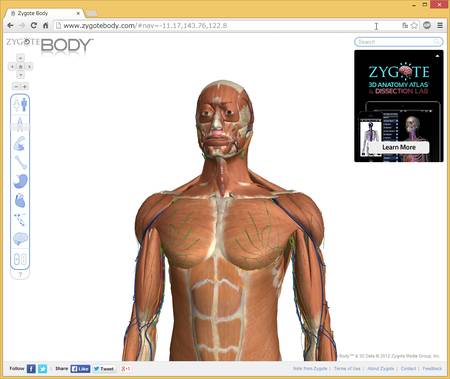 Zygotebodyの画面。3Dで人体をさまざまな角度から表示できる。
